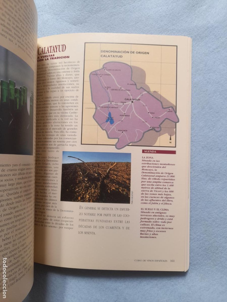 Libros de segunda mano: Curso de Vinos Espa&ntilde;oles. Massimo Galinverti. - Foto 10