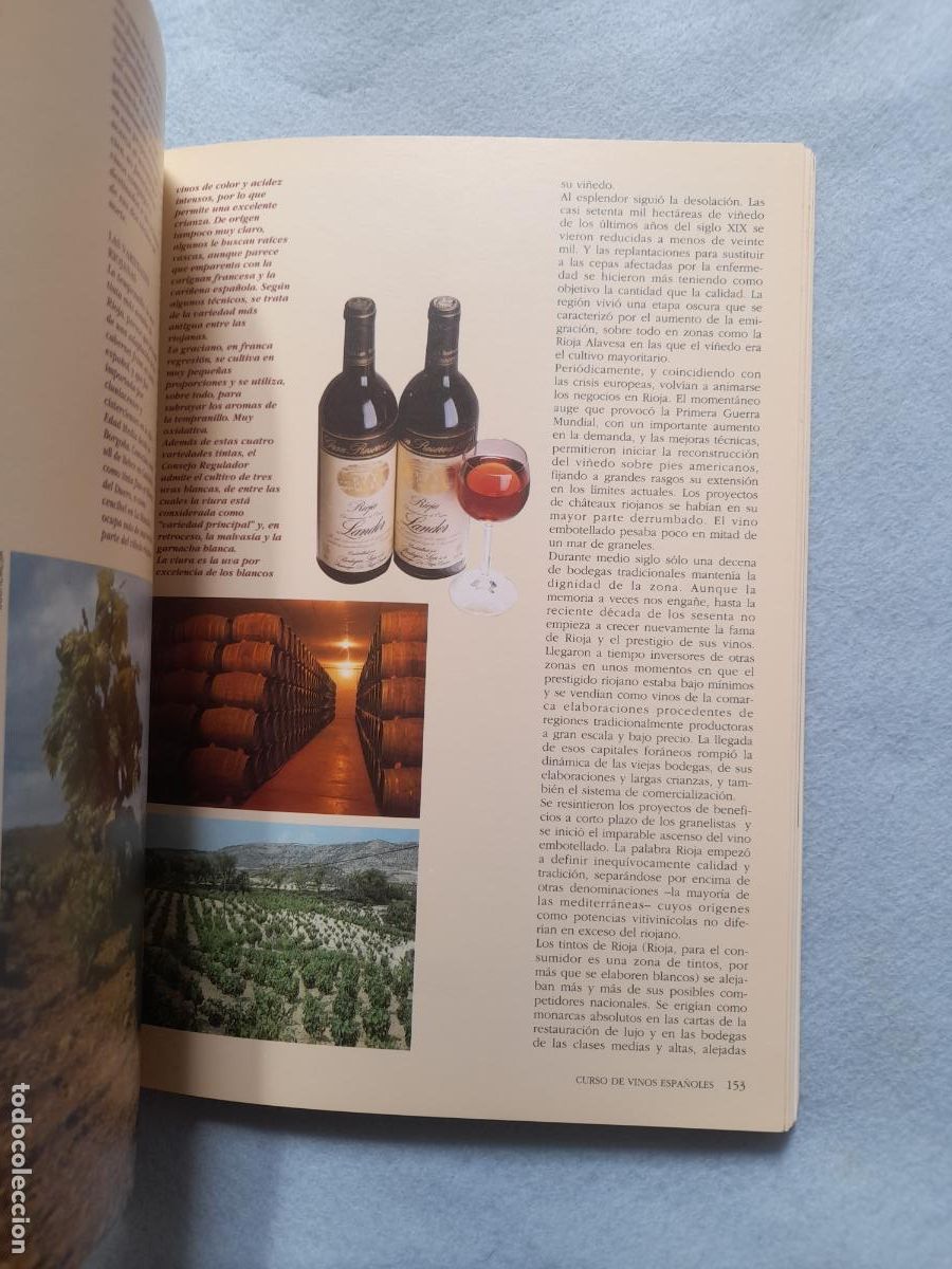 Libros de segunda mano: Curso de Vinos Espa&ntilde;oles. Massimo Galinverti. - Foto 11