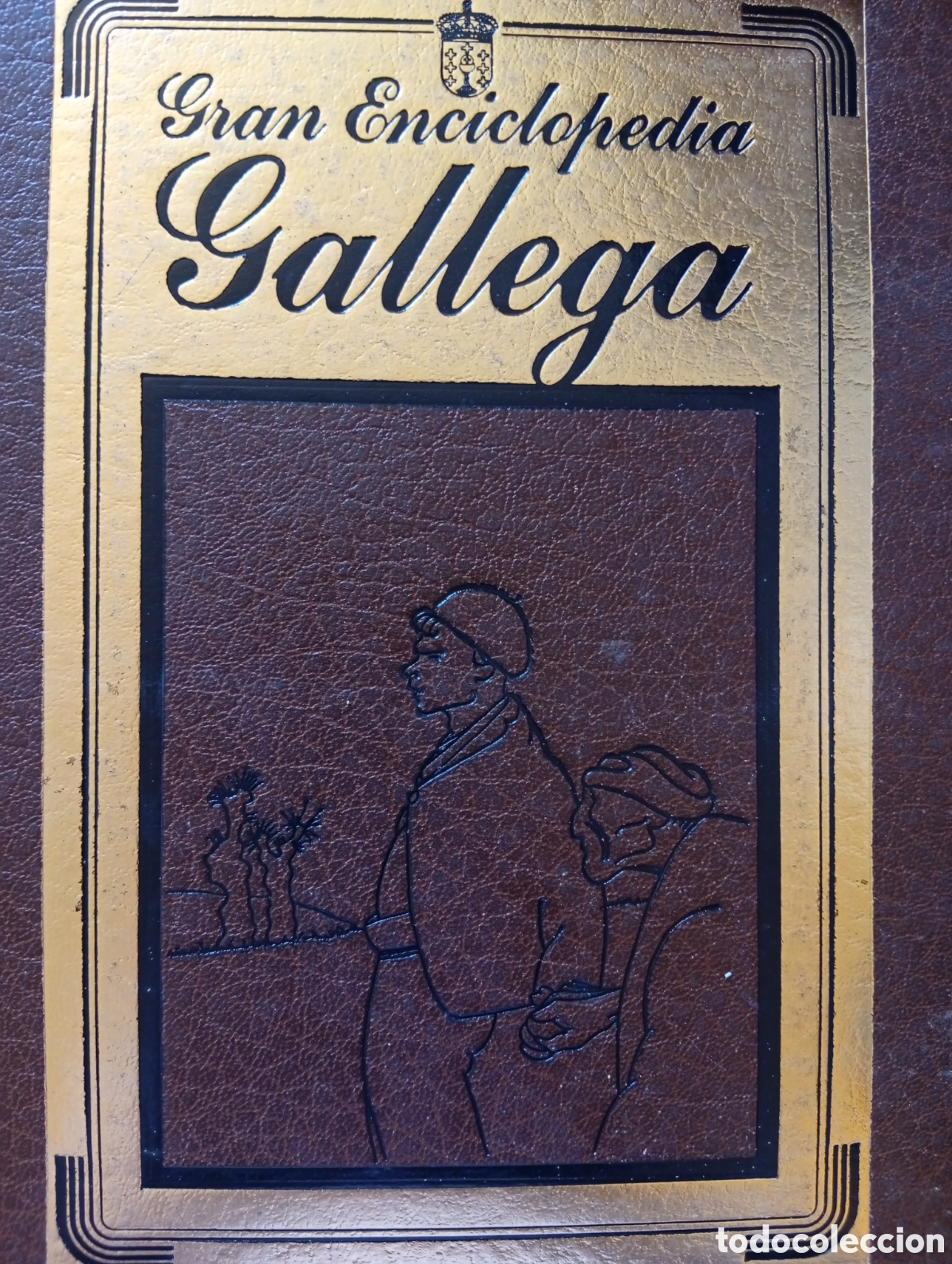 Libros de segunda mano: Enciclopedia gallega gran colecci&oacute;n de 30 libros