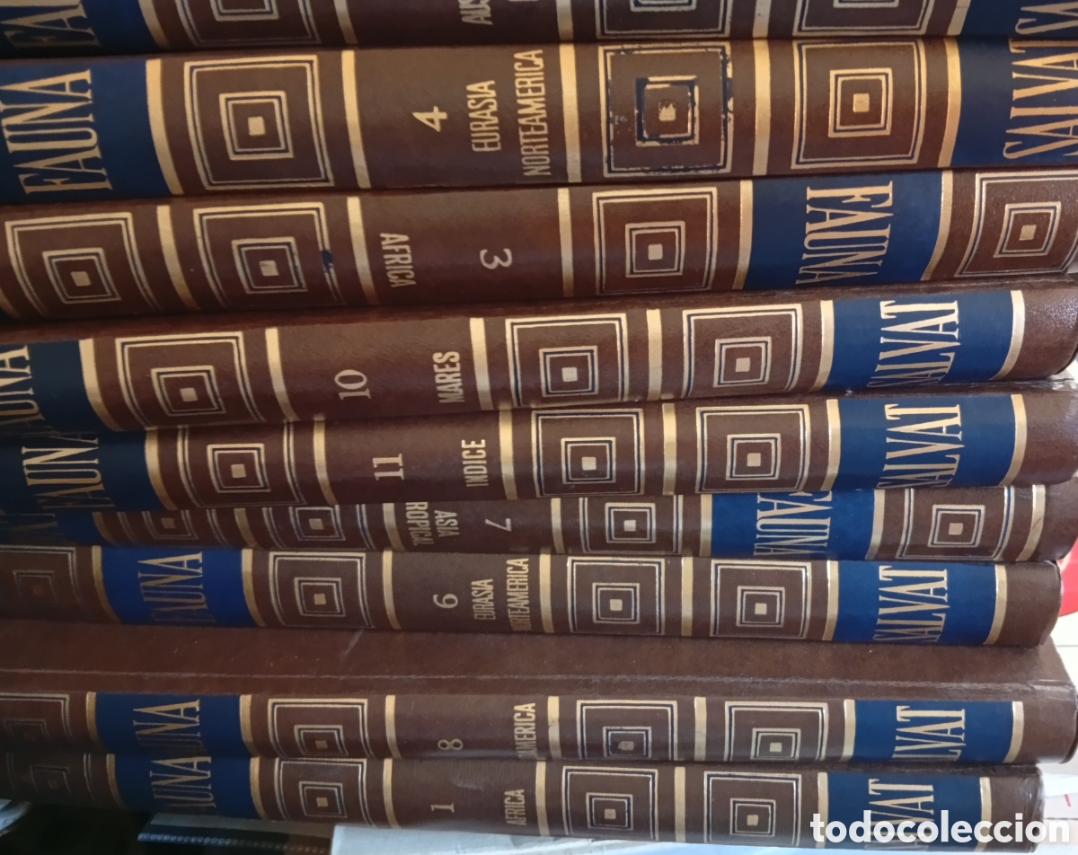 Libros de segunda mano: Enciclopedia de la Fauna por F&eacute;lix Rodr&iacute;guez de la Fuente de Salvat 11 tomos