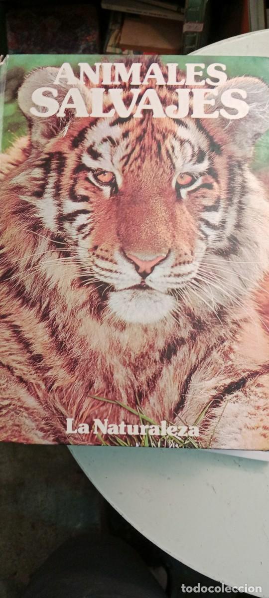 Libros de segunda mano: ANIMALES SALVAJES LA NATURALEZA LIBRO TOP-20