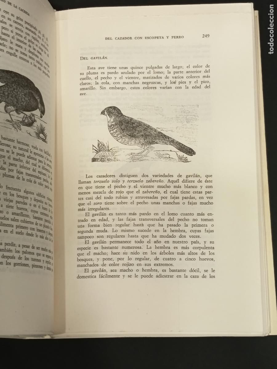 Libros de segunda mano: 1982 - SOCIEDAD DE CAZADORES. Tesoro de la Cacer&iacute;a - Foto 3