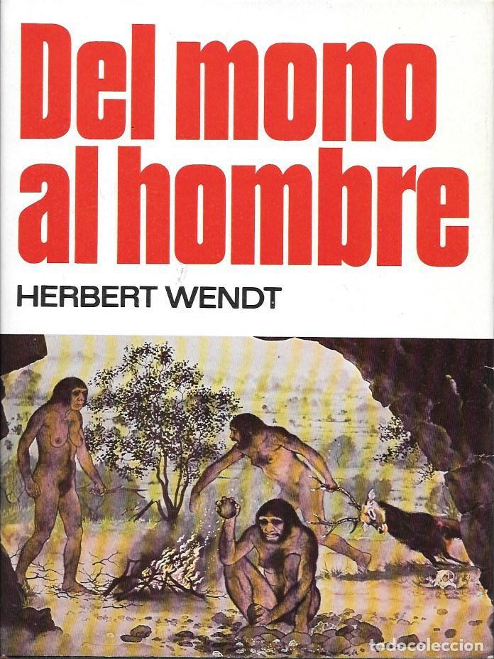 Libros de segunda mano: DEL MONO AL HOMBRE - WENDT, HERBERT - A-ANT-279