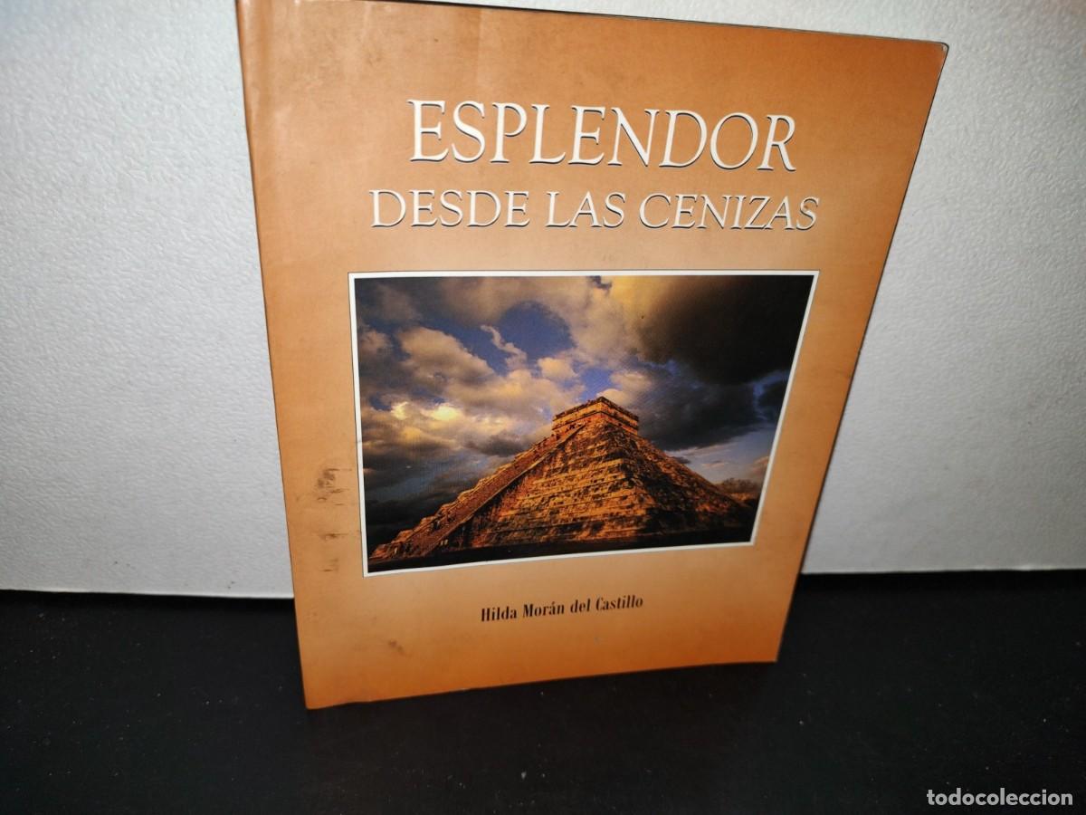 Libros de segunda mano: 54- Esplendor Desde Las Cenizas - Hilda Mor&aacute;n Del Castillo - Firmado - Primera Edici&oacute;n 2011