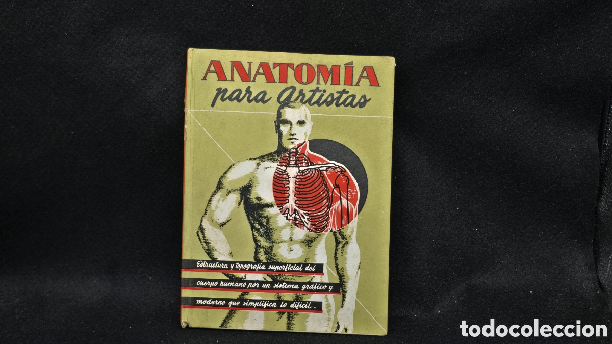 Gebrauchte B&uuml;cher: Anatom&iacute;a para artistas. Las ediciones de arte Barcelona