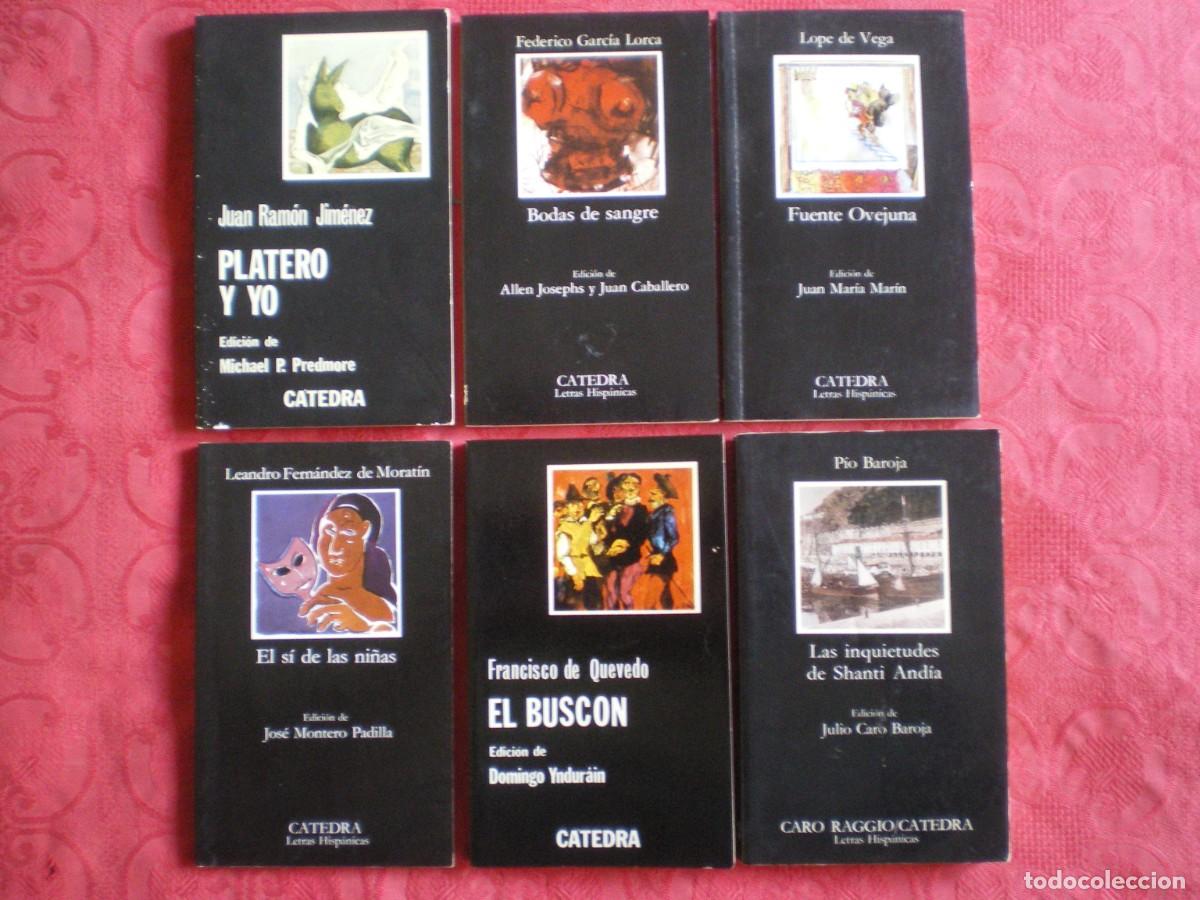 Libros de segunda mano: C&Aacute;TEDRA LETRAS HISP&Aacute;NICAS. LOTE DE 6 TOMOS. NARRATIVA, TEATRO...