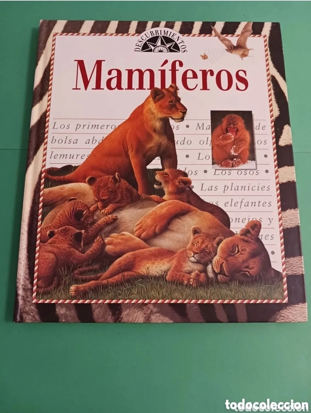 Livres d'occasion: Libro Mam&iacute;feros/ Descubrimientos