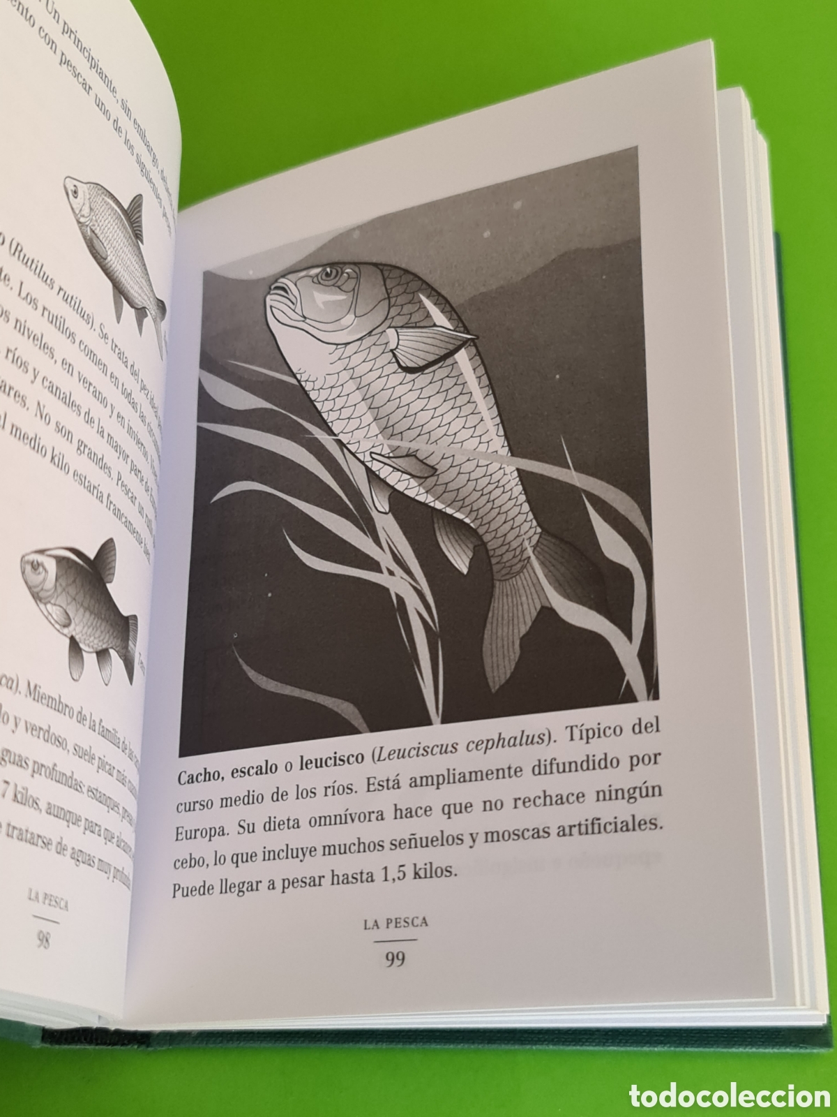 Libros de segunda mano: El Libro Peligroso de Bolsillo - Foto 6