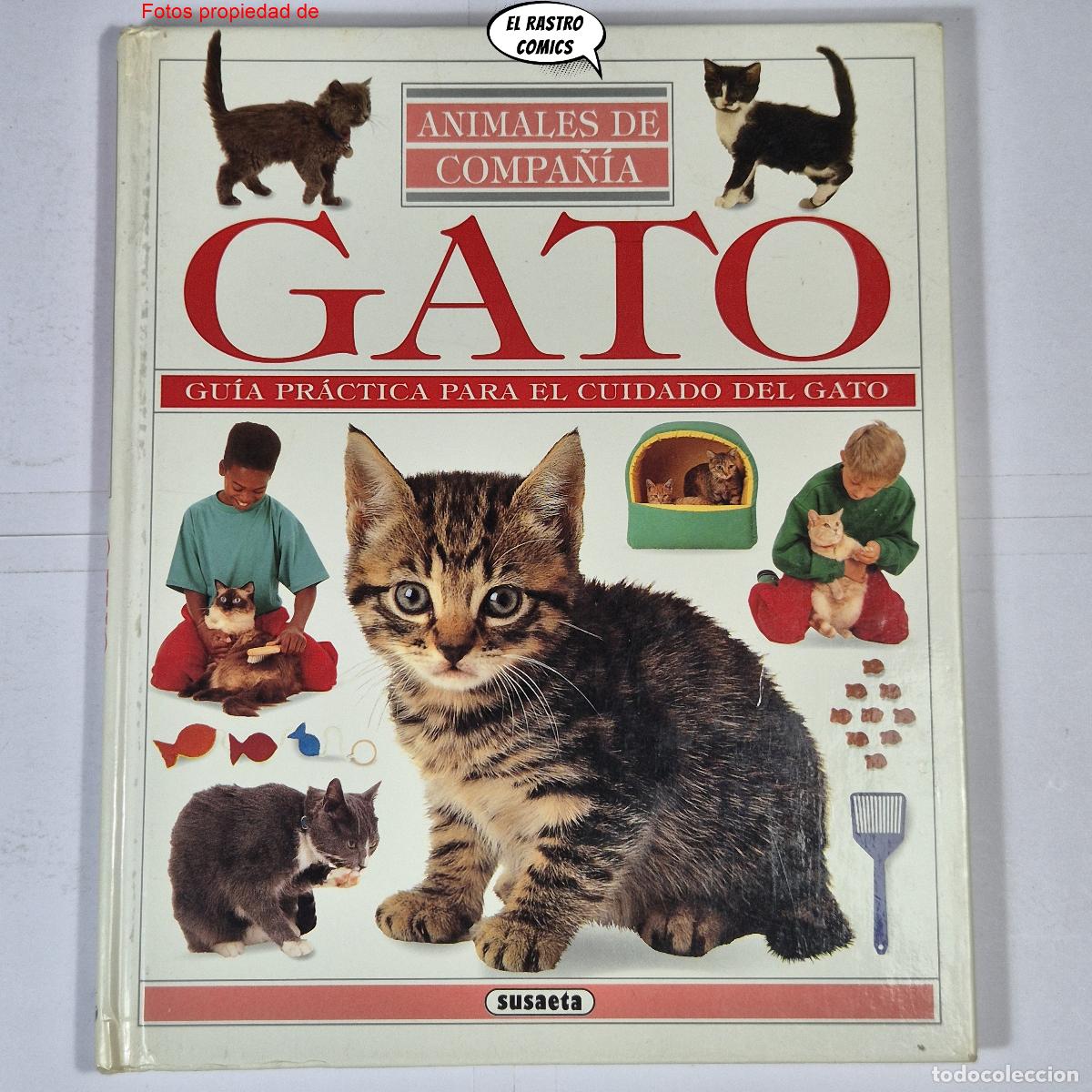 Libros de segunda mano: Gato, Gu&iacute;a practica para el cuidado del gato, Animales de compa&ntilde;ia, Susaeta 1993