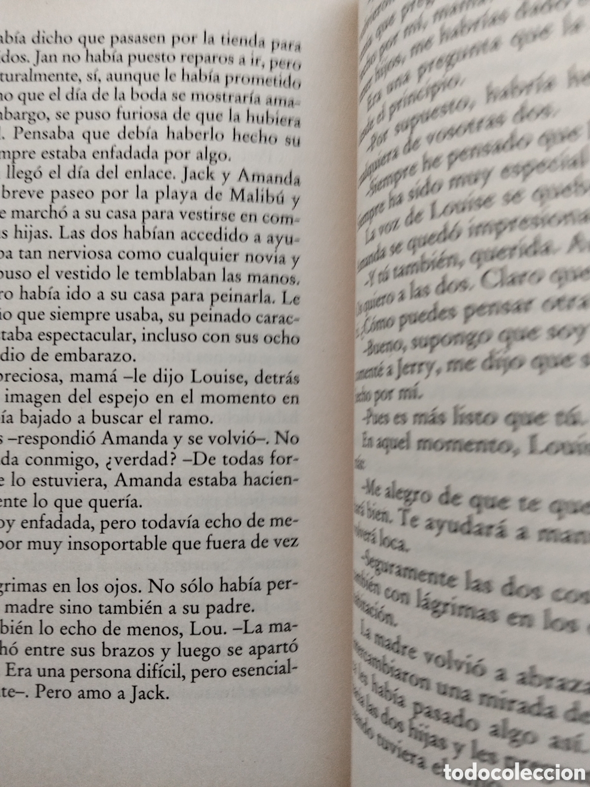 Libros de segunda mano: UNA ENTREGA ESPECIAL DANIELLE STEEL - Foto 2