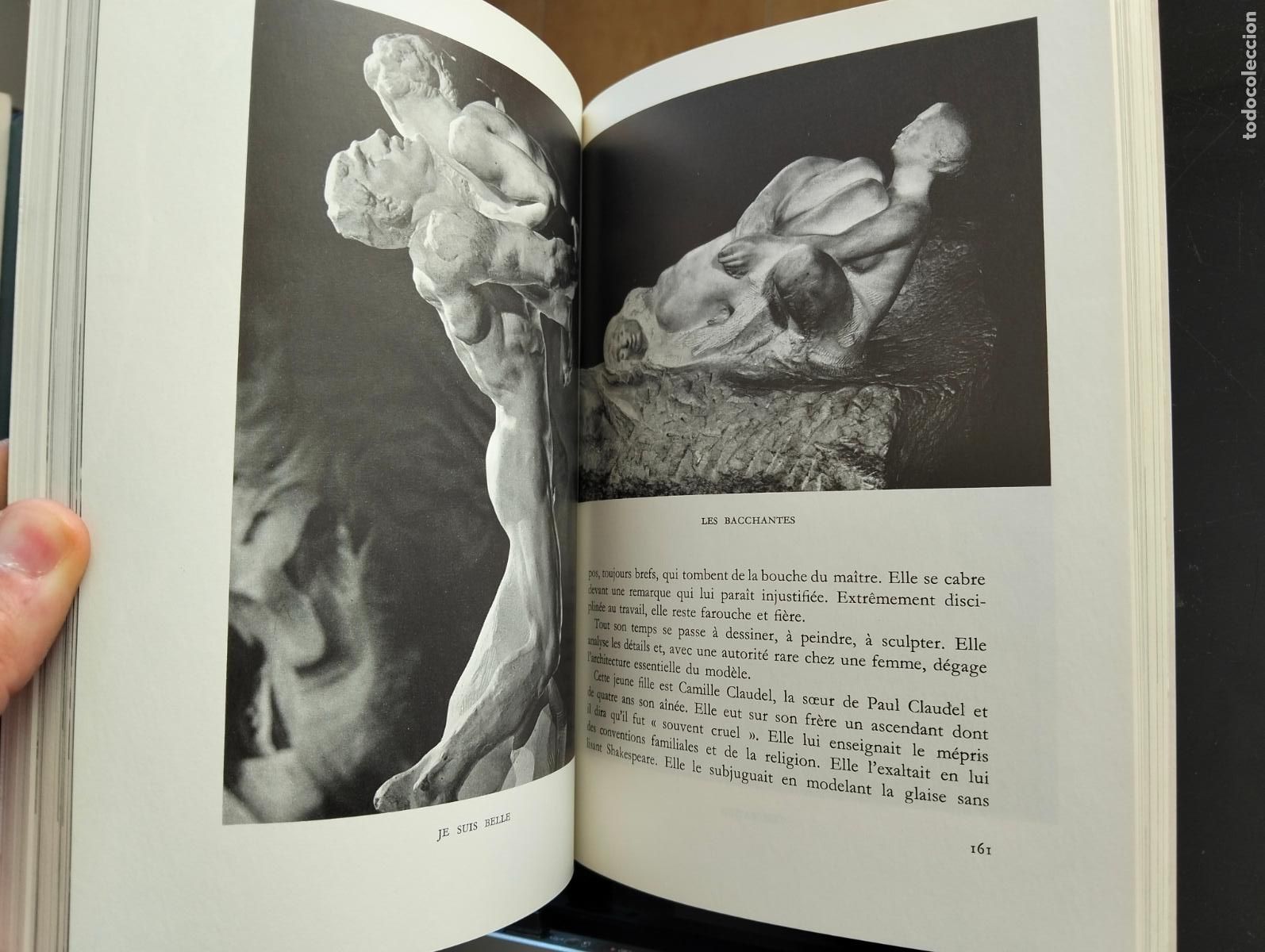 Libros de segunda mano: Arte. Escultura. Rodin. Bernard Champigneulle, ed. Somogy, 1980 MAS OFERTAS EN MI CATALOGO