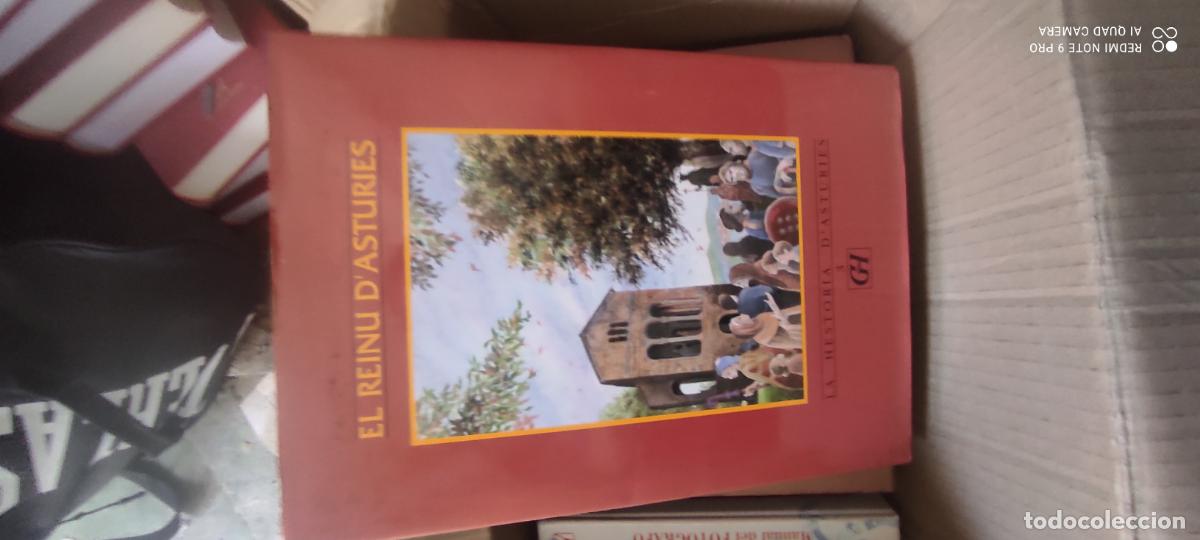 Libros de segunda mano: /EL REINU D'ASTURIES . LA HESTORIA D'ASTURIES,