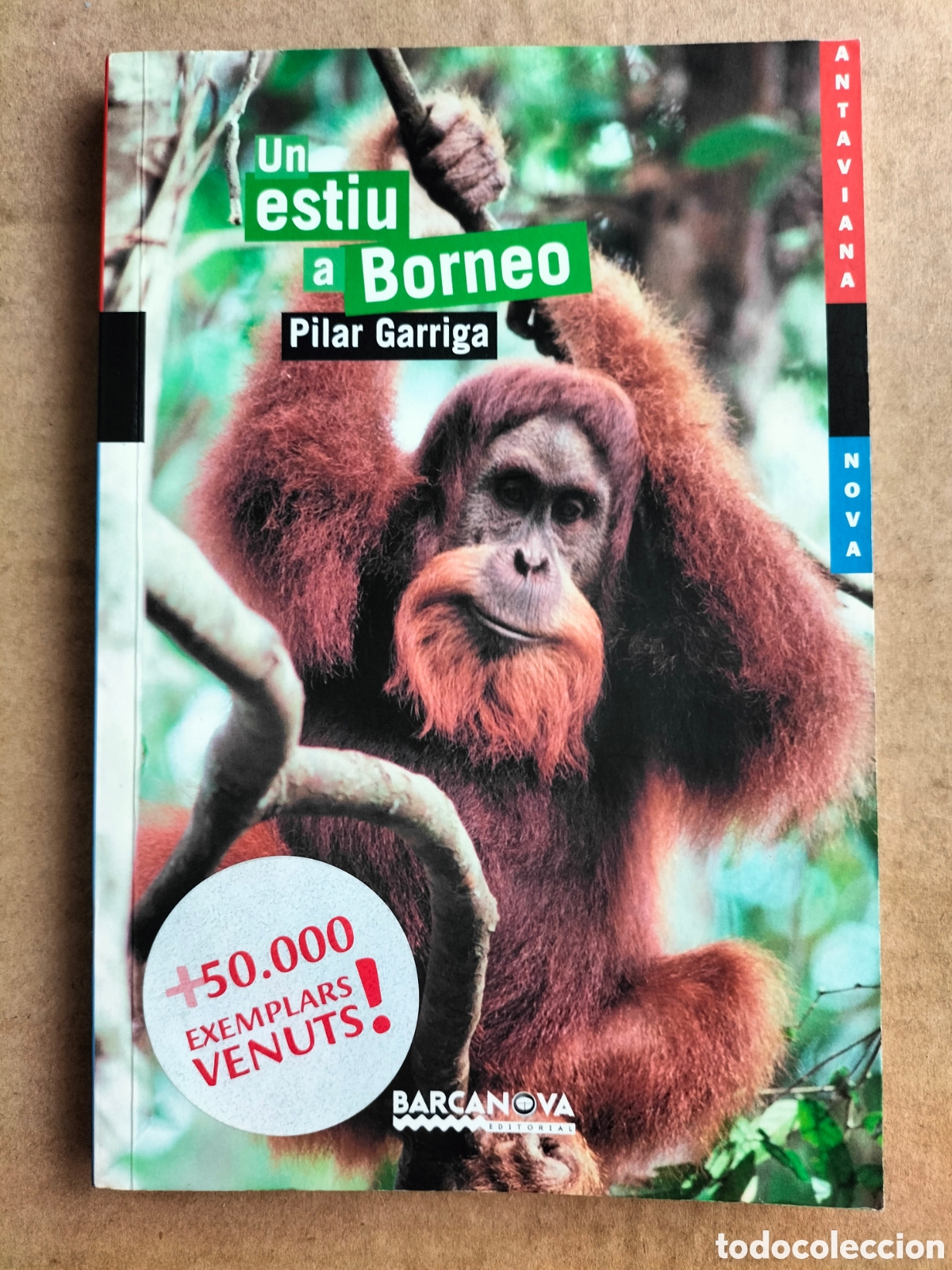Libros de segunda mano: Un estiu a Borneo. Pilar Garriga. Antaviana nova 116. Editorial Barcanova, 2015. Llibre
