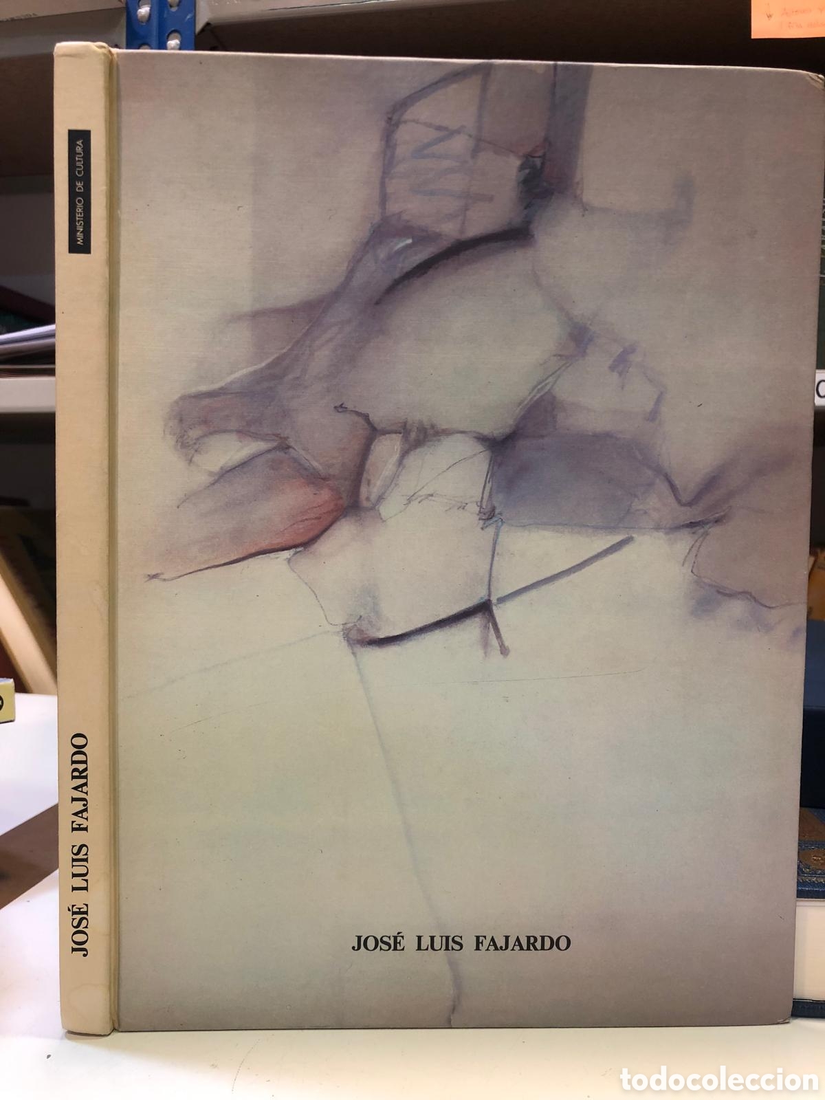 Libros de segunda mano: Jos&eacute; Luis Fajardo (Arte) - Foto 1