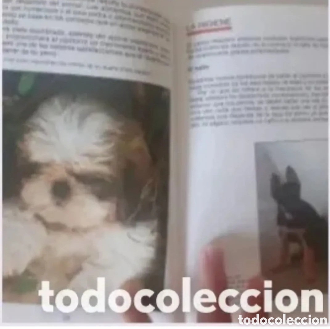 Gebrauchte B&uuml;cher: guia cuidado de cachorros