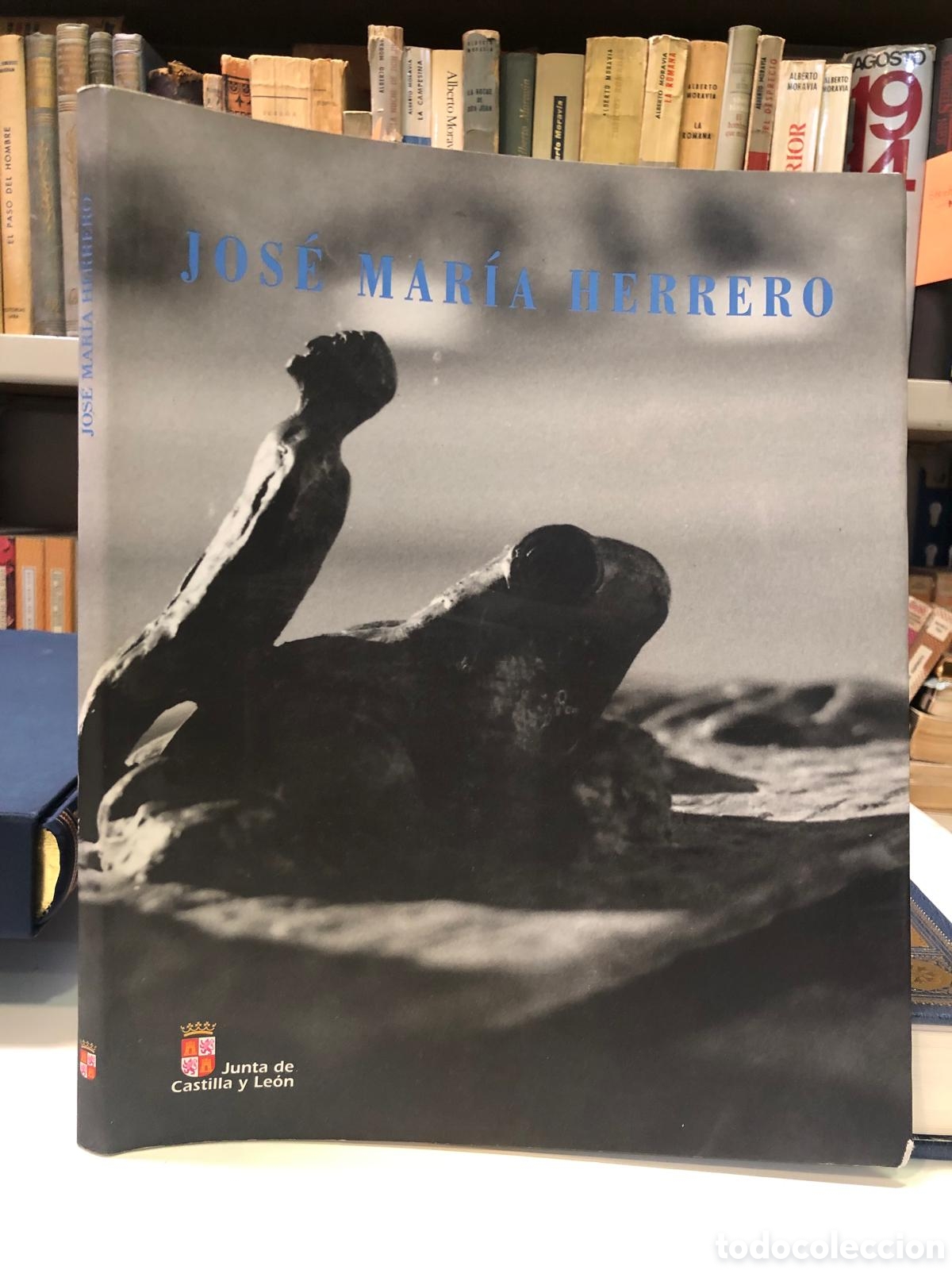 Gebrauchte B&uuml;cher: Jos&eacute; Mar&iacute;a Herrero (Arte)