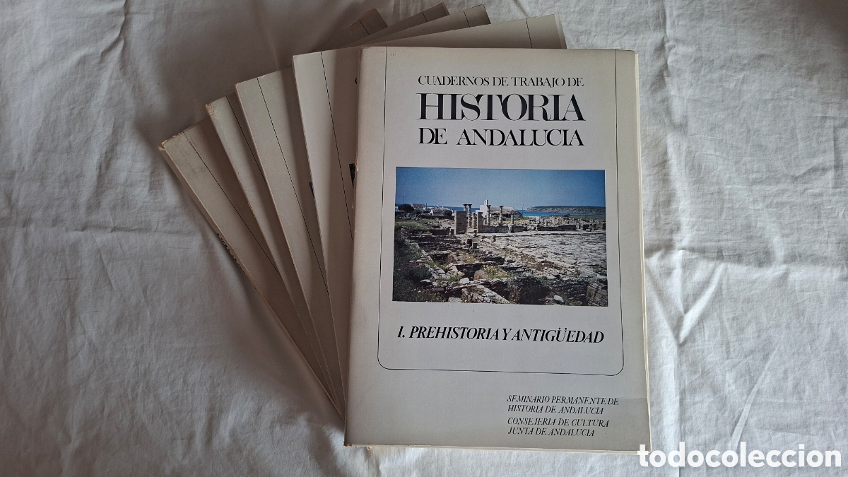 Libros de segunda mano: HISTORIA DE ANDALUCIA. 5 Carpetas Cuadernos de Trabajo