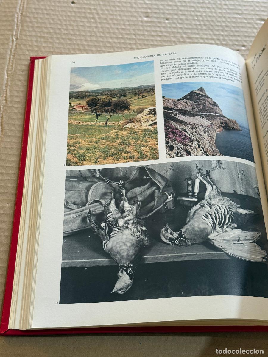 Second hand books: FERNANDO HUERTA Y RAMIREZ / XAVIER PALAUS / CAZA 01 #30