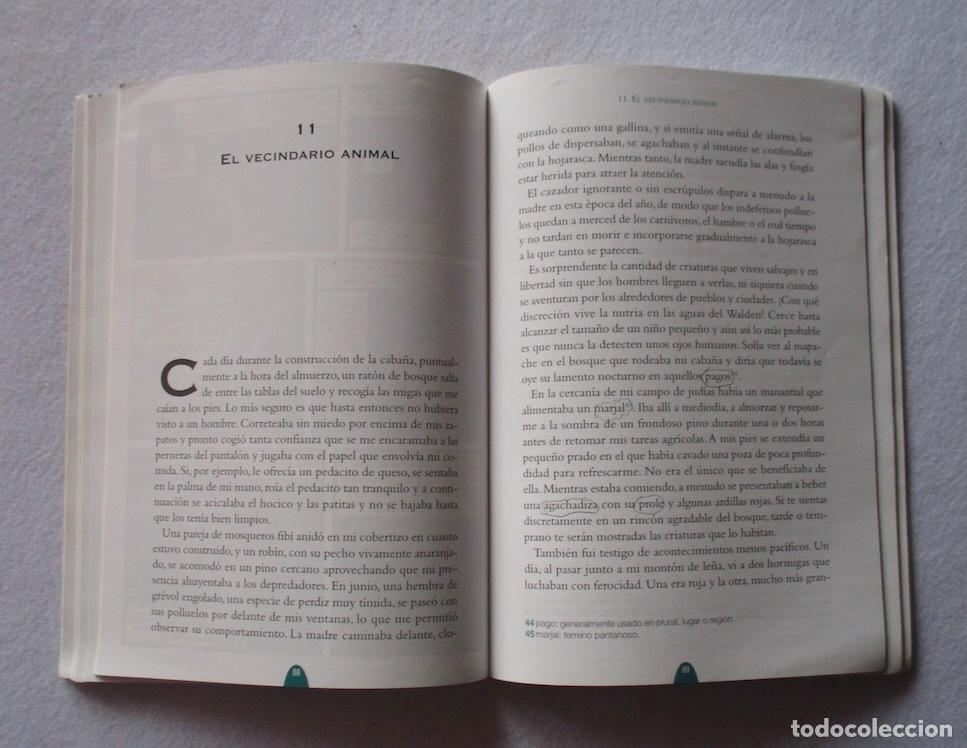 Libros de segunda mano: WALDEN O LA VIDA EN LOS BOSQUES - HENRY DAVID THOREAU - Foto 4