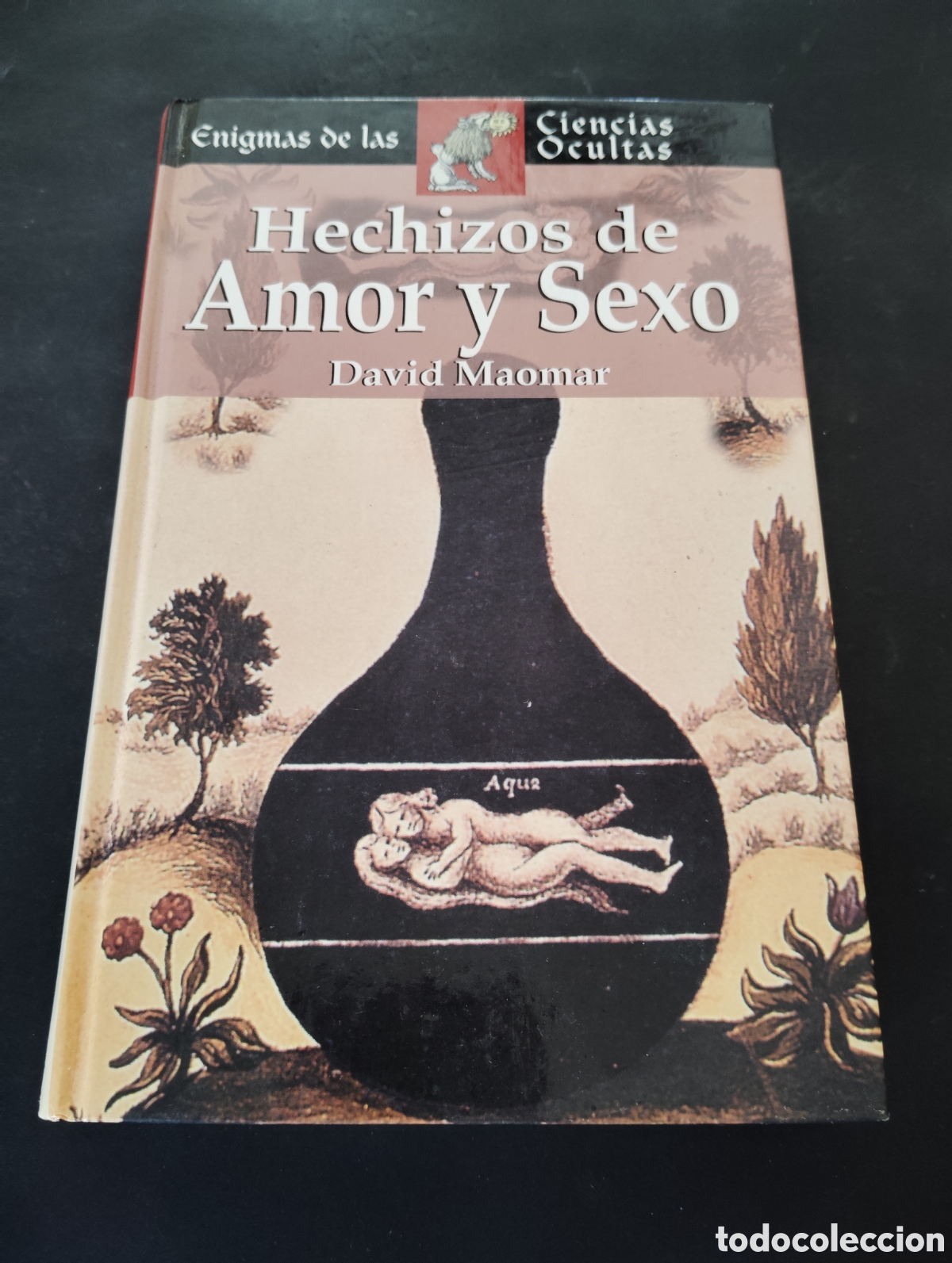 Libros de segunda mano: Hechizos de Amor y Sexo | David Maomar