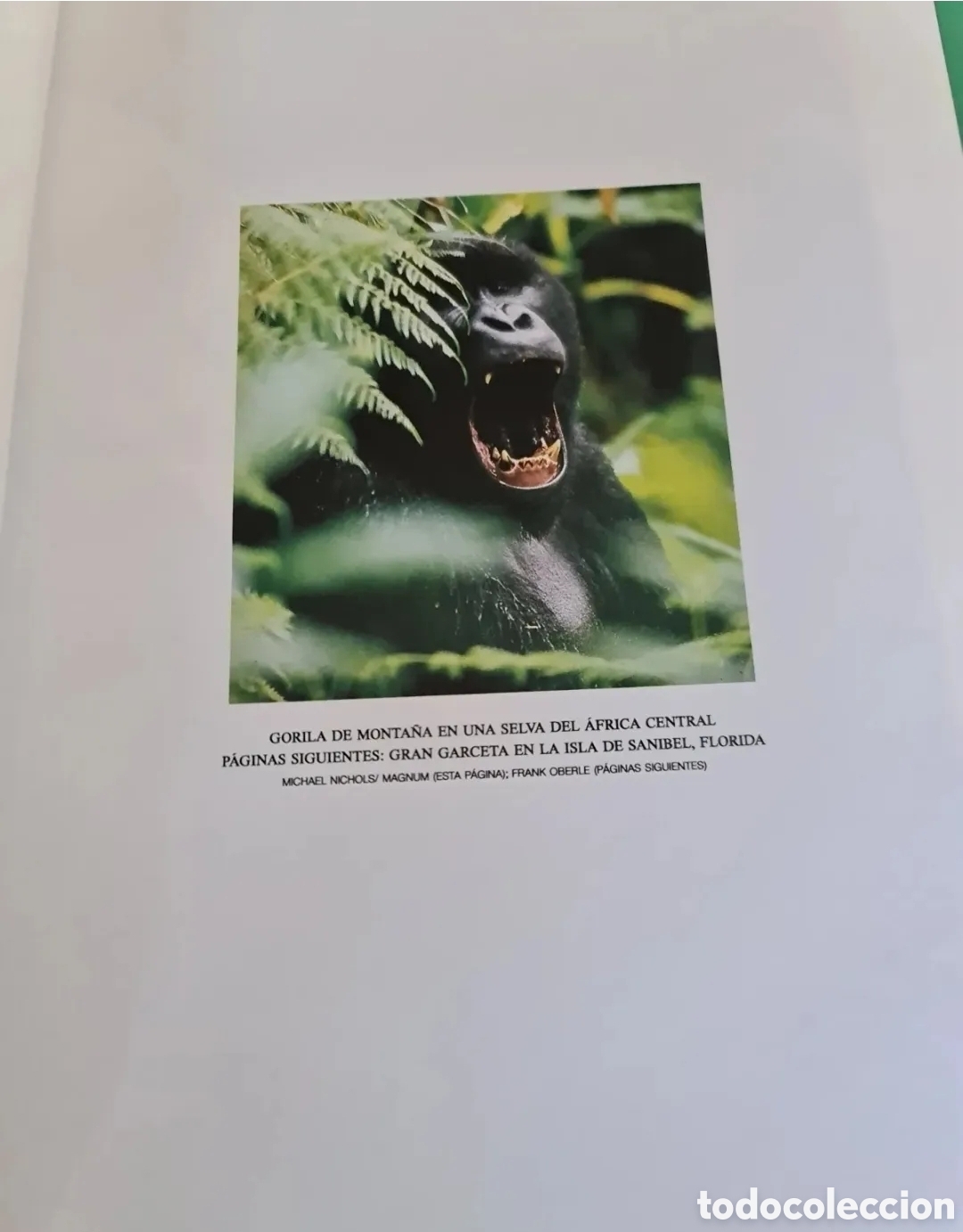 Libros de segunda mano: Vida Salvaje al descubierto N&deg;1. - Foto 3