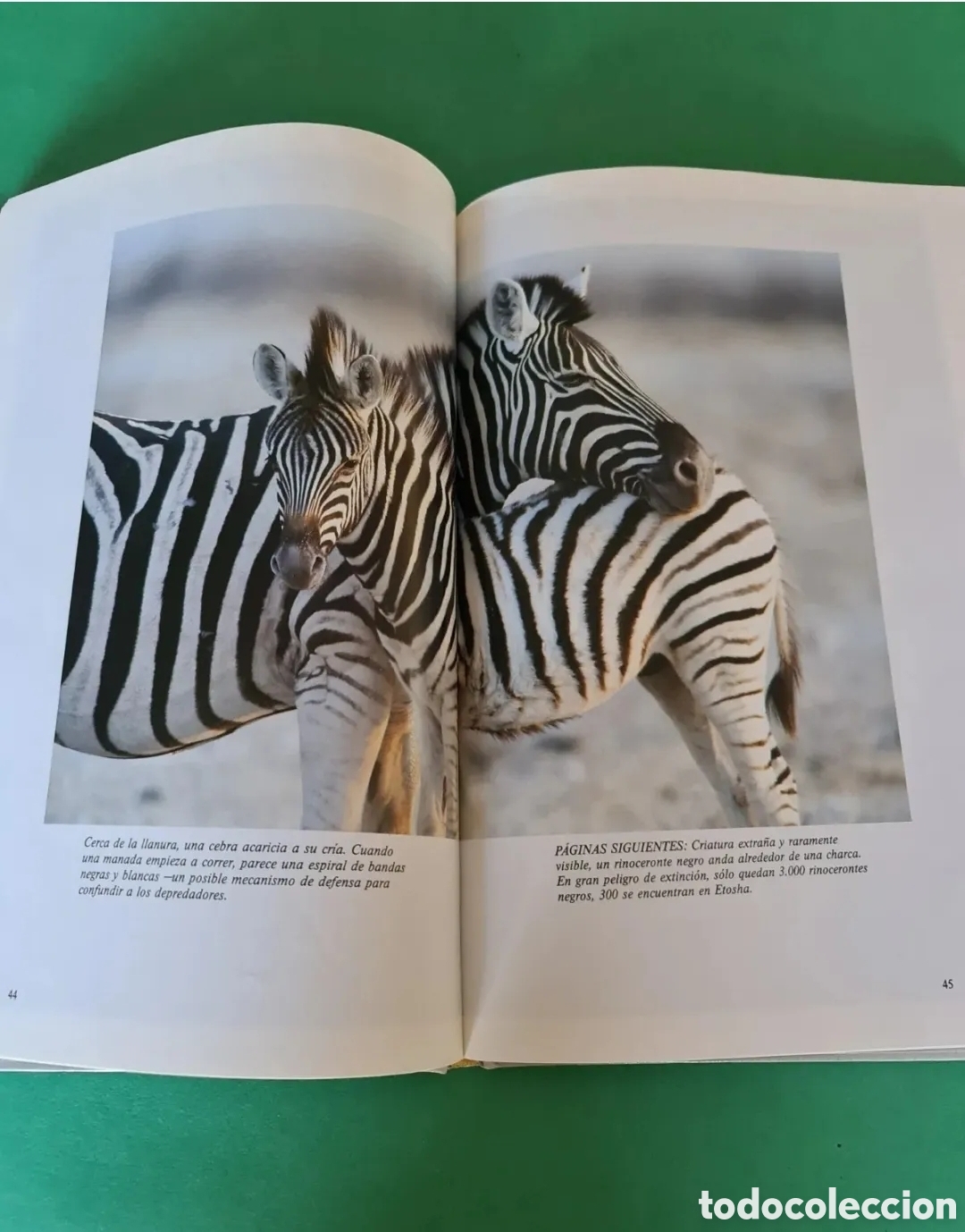 Libros de segunda mano: Vida Salvaje al descubierto N&deg;1. - Foto 4