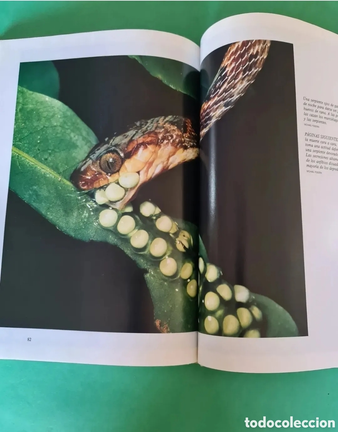 Libros de segunda mano: Vida Salvaje al descubierto N&deg;1. - Foto 5