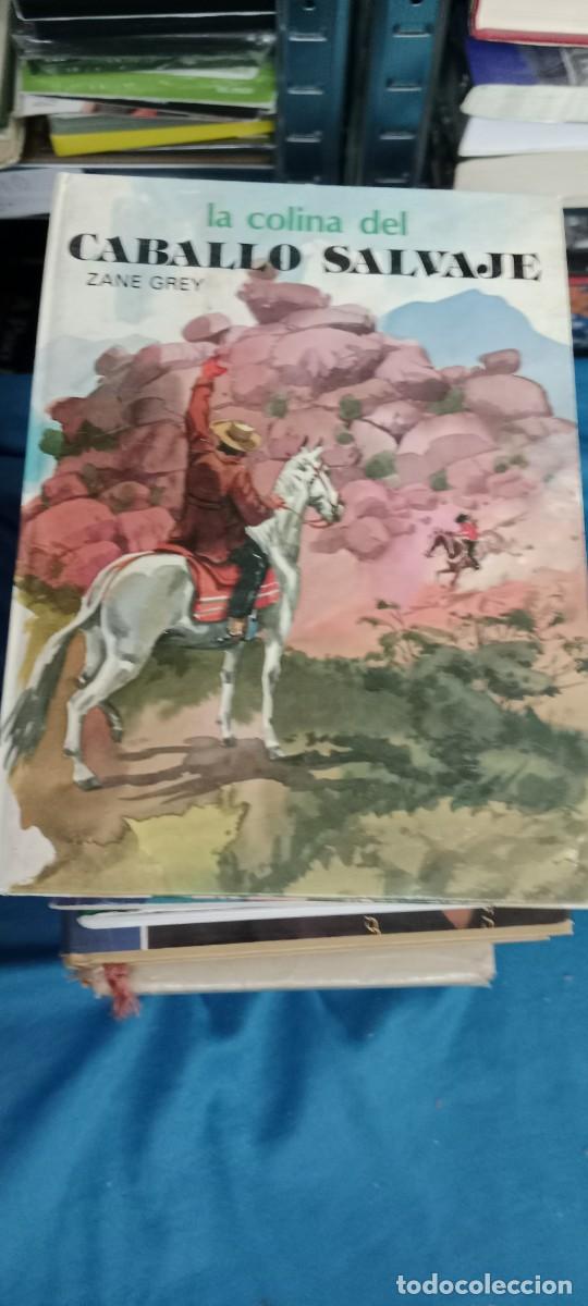 Libros de segunda mano: LA COLINA DEL CABALLO VERDE ZANE GREY LIBRO GG-DNI