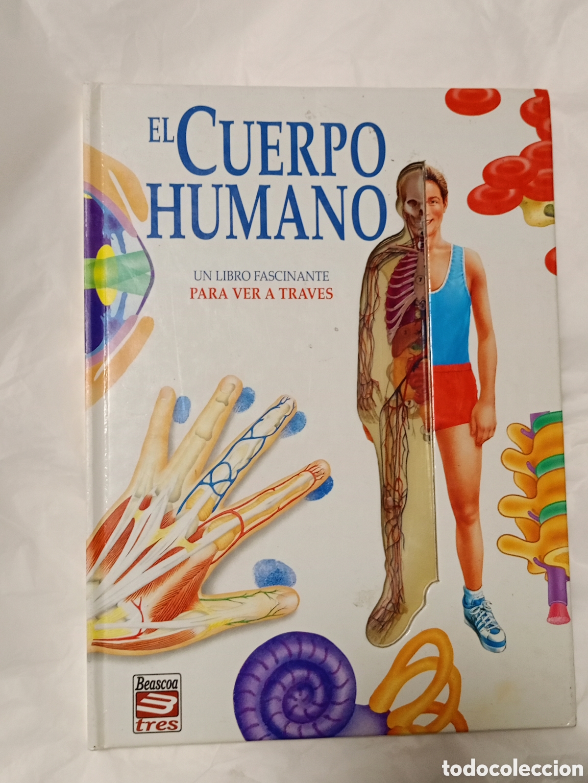 Second hand books: EL CUERPO HUMANO UN LIBRO FASCINANTE PARA VER TRAVES