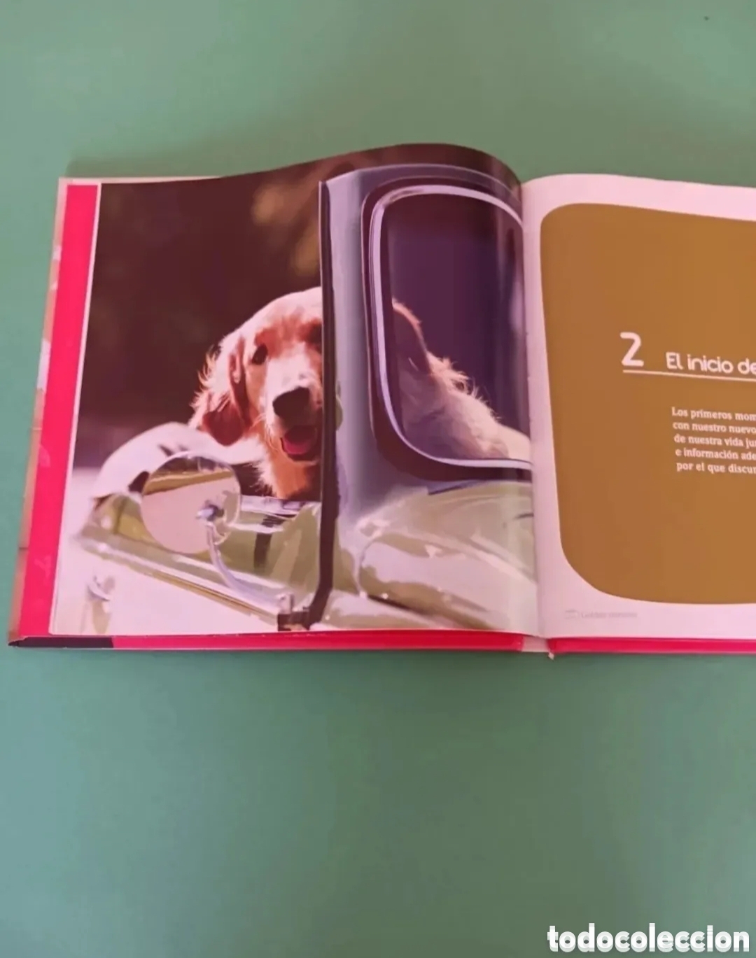 Libros de segunda mano: Libro, El encantador de perros. - Foto 3