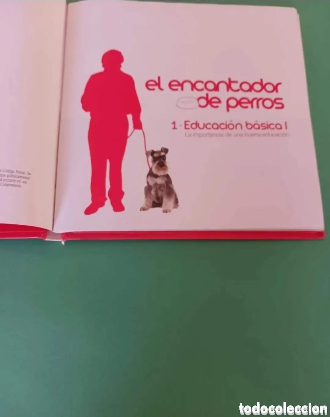 Libros de segunda mano: Libro, El encantador de perros. - Foto 4
