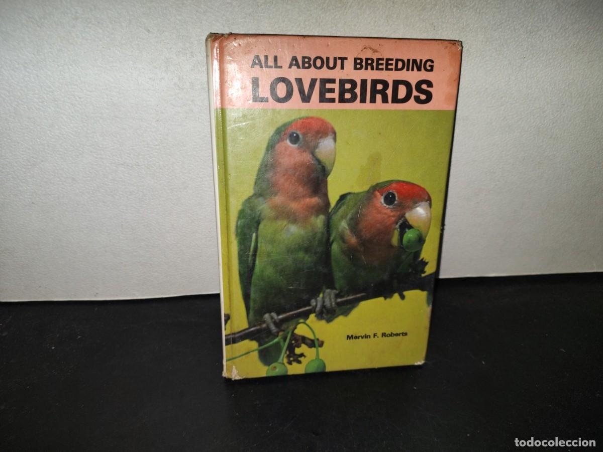 Libros de segunda mano: 219- All About Breedng Lovebirds - Mervin F. Roberts - 1983