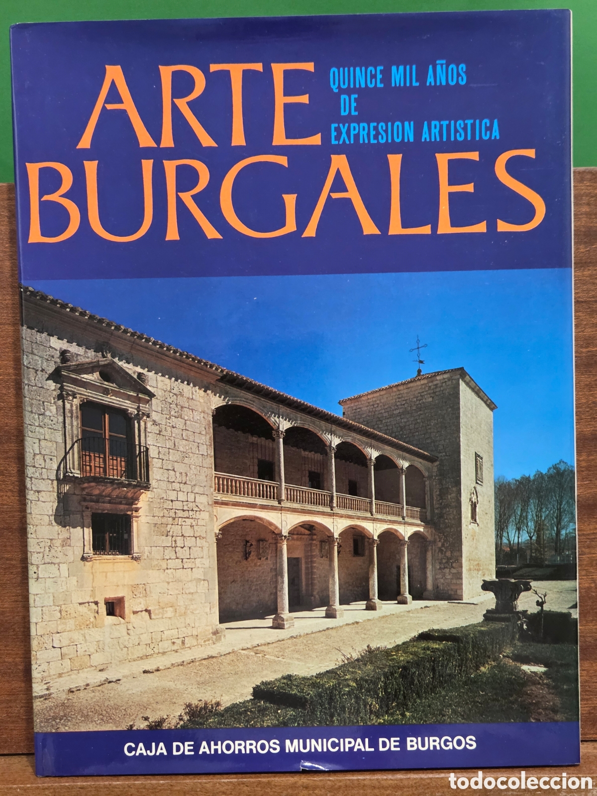 Libros de segunda mano: &rdquo;&rdquo;ARTE BURGALES, QUINCE MIL A&Ntilde;OS DE EXPRESION ARTISTICA&rdquo;&rdquo;...CAJA DE AHORROS MUNICIPAL DE BURGOS...