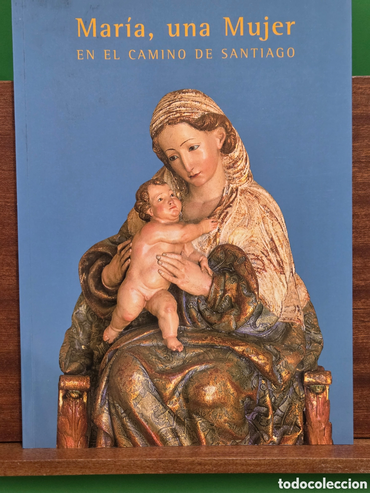 Libros de segunda mano: CAT&Aacute;LOGO DE LA EXPOSICION...&rdquo;&rdquo;MARIA, UNA MUJER EN EL CAMINO DE SANTIAGO&rdquo;&rdquo;...CASTROJERIZ JUNIO 2001..