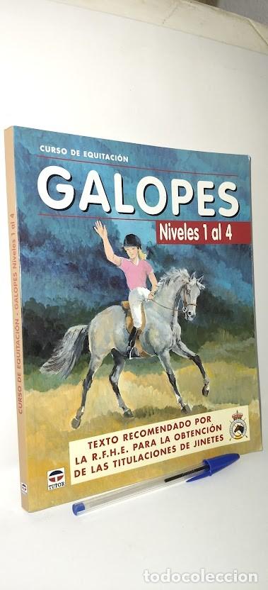 Libros de segunda mano: Curso de equitaci&oacute;n Galopes Niveles 1 al 4 -Texto recomendado por la R.F.H. E. Tutor 6&ordf; edici&oacute;n 2009