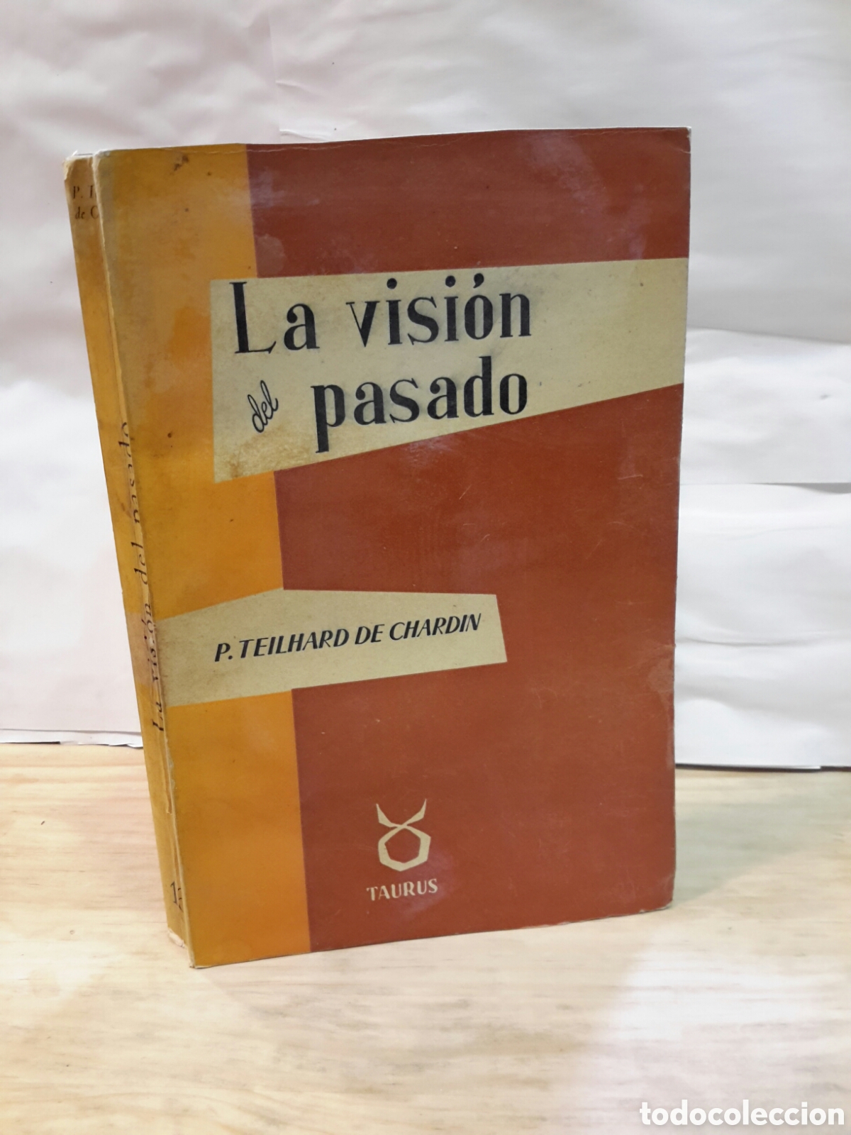 Livros em segunda m&atilde;o: La vision del pasado Teilhard de chardin