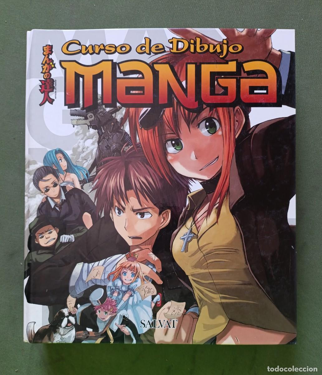 Libros de segunda mano: CURSO DE DIBUJO - MANGA - CARPETA ANILLAS CON 17 FASCICULOS - D20