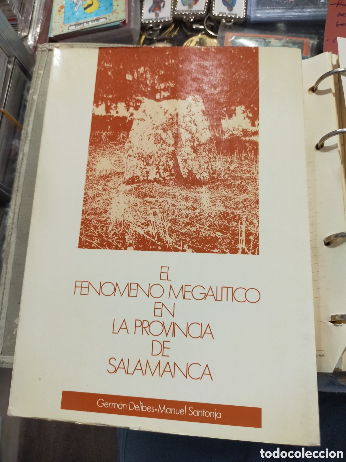 Libros de segunda mano: EL FEN&Oacute;MENO MEGAL&Iacute;TICO EN LA PROVINCIA DE SALAMANCA GERM&Aacute;N DELIBES MANUEL SANTONJA