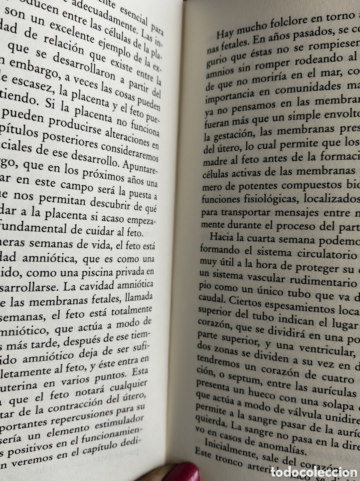 Libros de segunda mano: TIEMPO PARA NACER PETER W.NATHANIELSZ - Foto 2