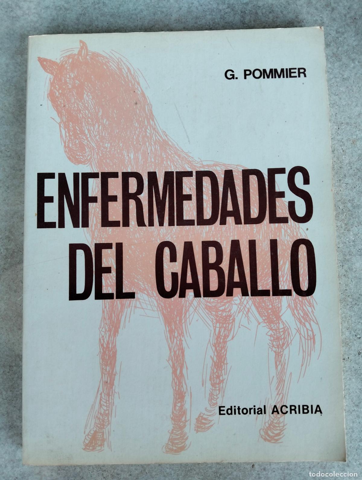 Livros em segunda m&atilde;o: Enfermedades del caballo libro editorial acribia g pommier caballos jose merodio iglesia beltran
