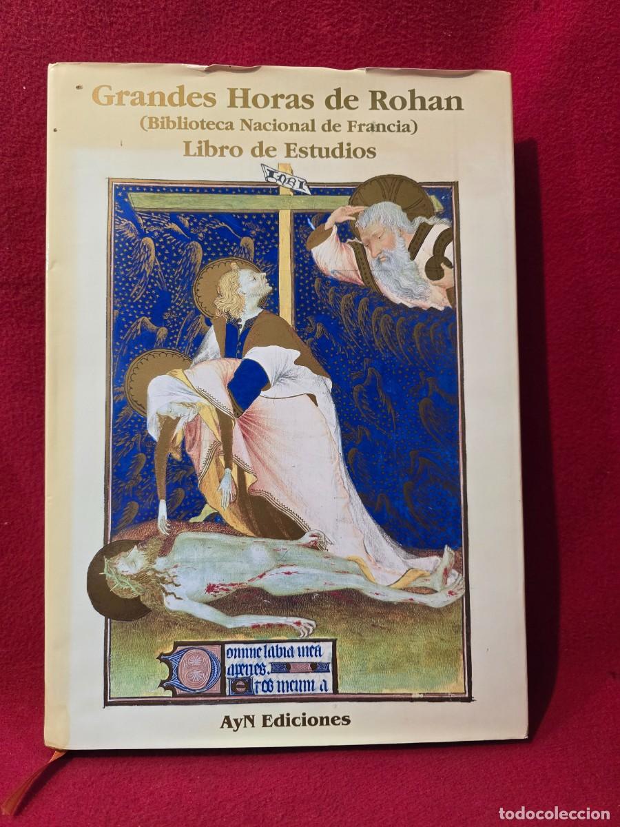 Libros de segunda mano: LIBRO GRANDES HORAS DE ROJAN. LIBRO DE ESTUDIOS .