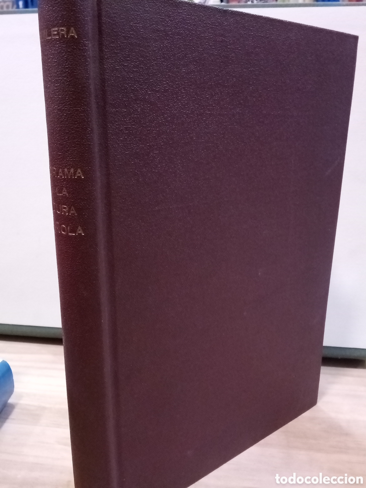 Libros de segunda mano: Emiliano M. aguilera - Panorama de la Pintura Espa&ntilde;ola
