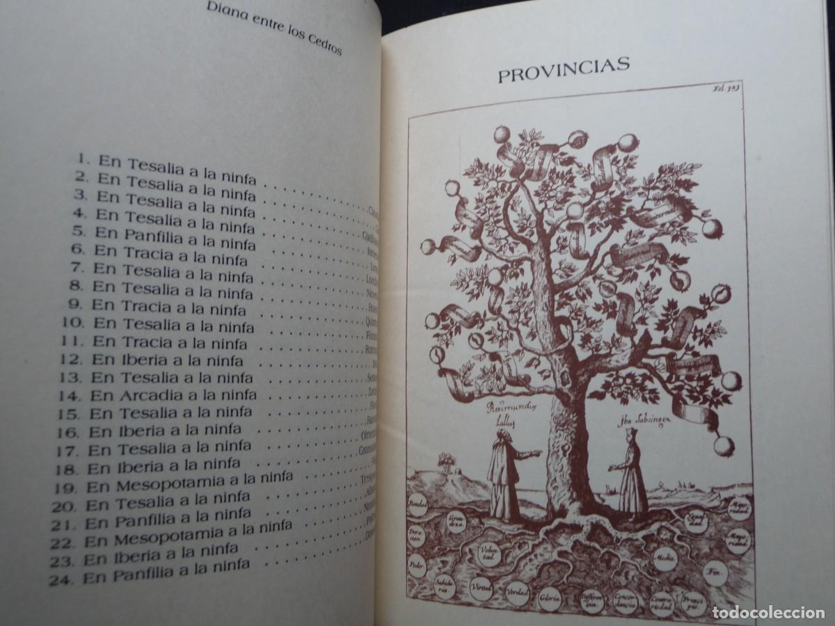 Libros de segunda mano: MOFARANDEL DE LOS OR&Aacute;CULOS DE APOLO. MAESTRO QUOQUIM - Foto 1