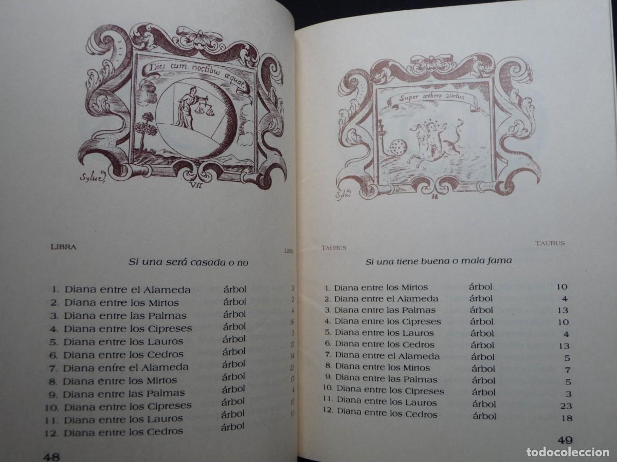 Libros de segunda mano: MOFARANDEL DE LOS OR&Aacute;CULOS DE APOLO. MAESTRO QUOQUIM - Foto 4