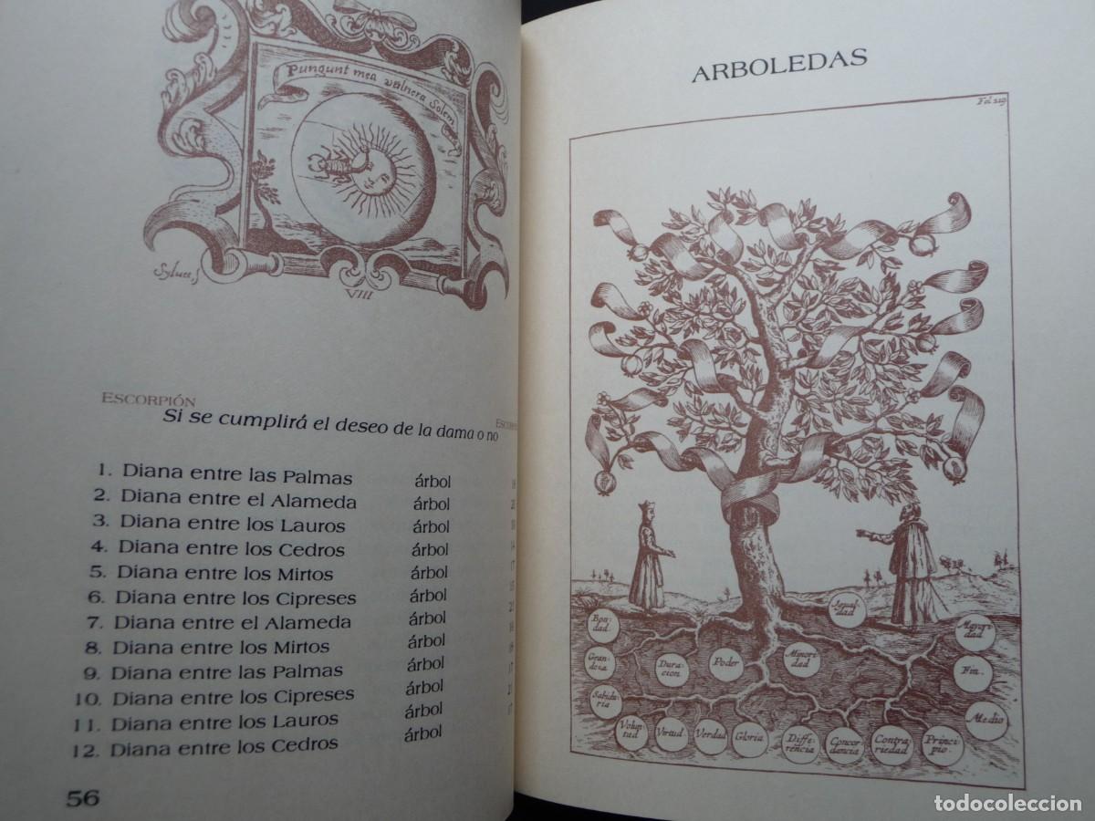 Libros de segunda mano: MOFARANDEL DE LOS OR&Aacute;CULOS DE APOLO. MAESTRO QUOQUIM - Foto 5
