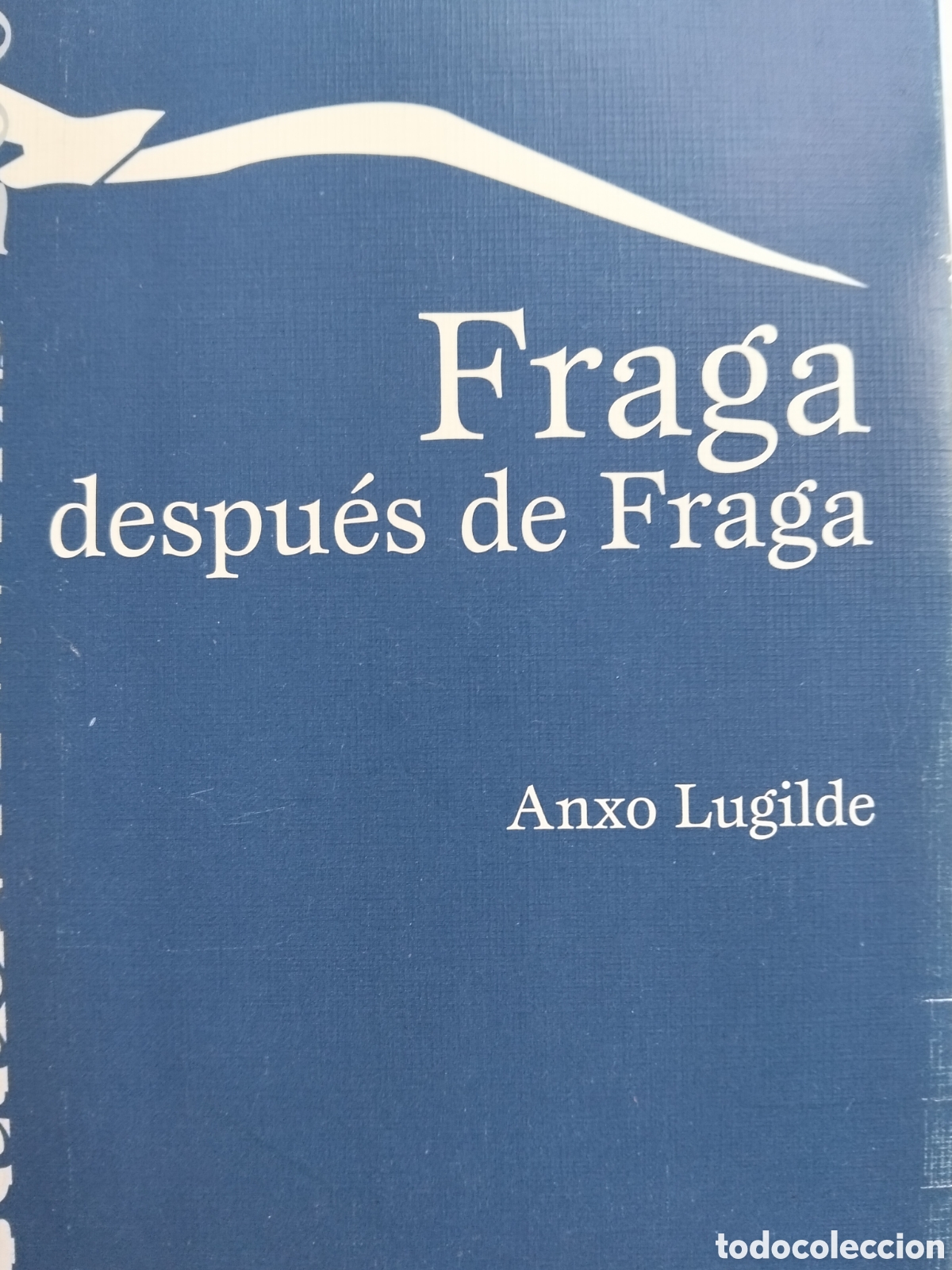 Gebrauchte B&uuml;cher: FRAGA DESPU&Eacute;S DE FRAGA ANXO LUGILDE