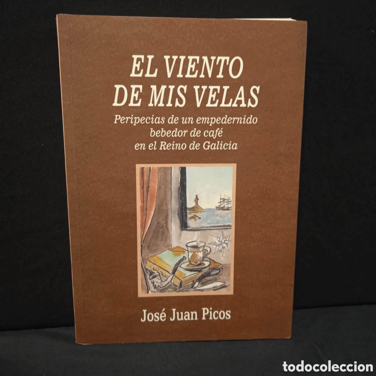 Libros de segunda mano: EL VIENTO DE MIS VELAS - JOS&Eacute; JUAN PICOS - LA RECTORAL DE CINES 2012 *CON DEDICATORIA AUT&Oacute;GRAFA*