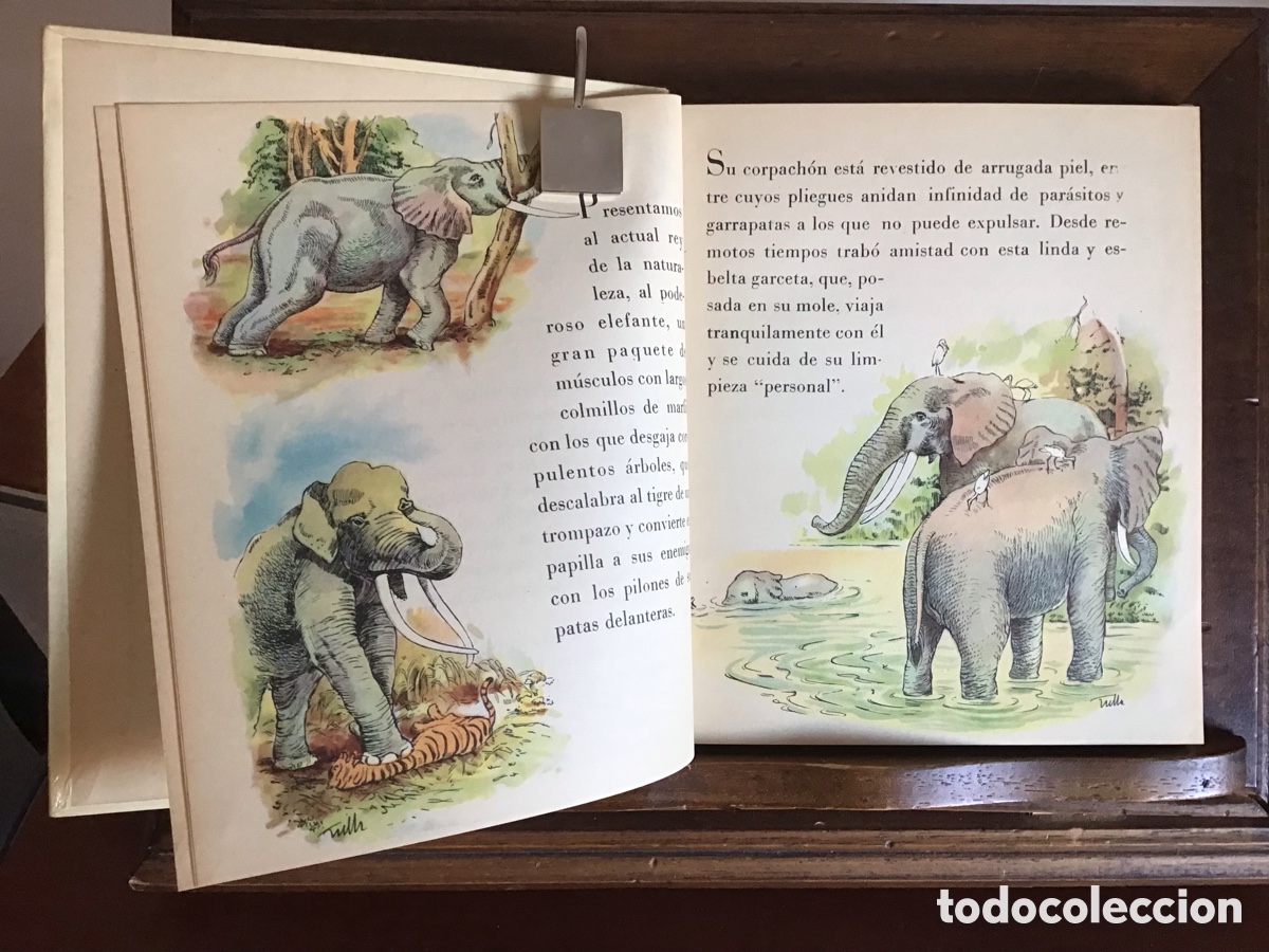 Libros de segunda mano: CURIOSIDADES - Javier Tulla ( JC ) - Foto 4