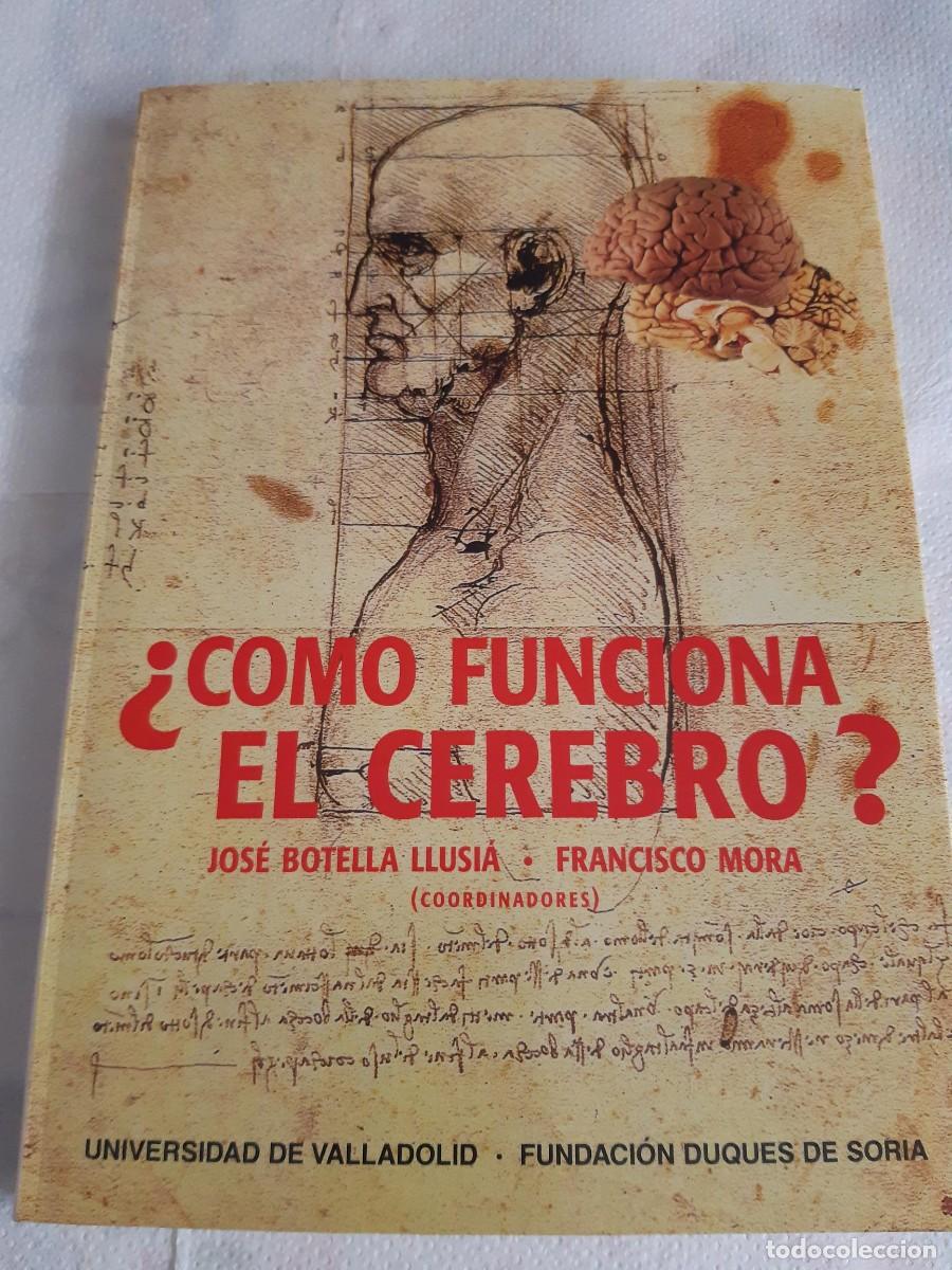 Libros de segunda mano: &iquest;C&Oacute;MO FUNCIONA EL CEREBRO?. I ENCUENTRO sobre fronteras de la ciencia - BOTELLA LLUSIA, JOSE