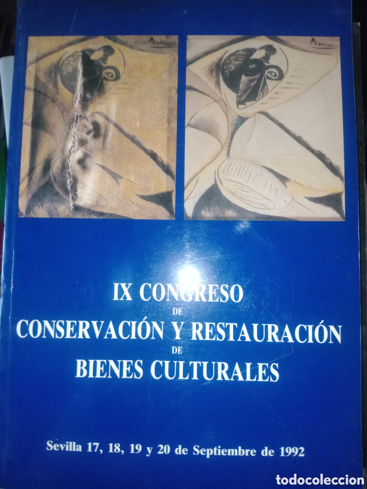 Libros de segunda mano: Toreteblanco IX congreso de conservaci&oacute;n y restauraci&oacute;n de bienes culturales
